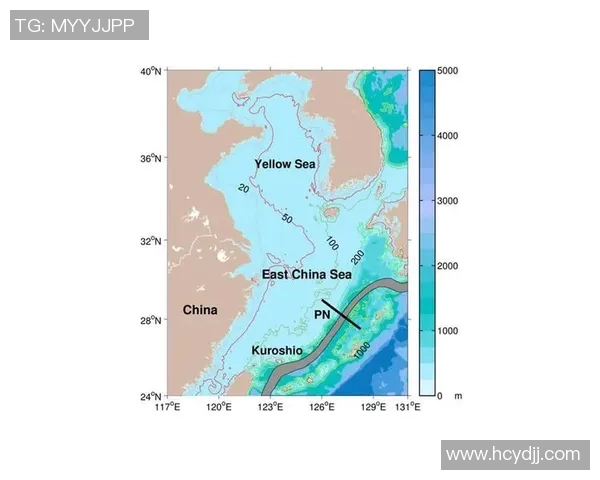 中国足球明星缺乏的城市与地区探讨及其背后的原因分析